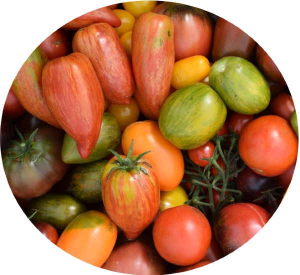 tomatenmix