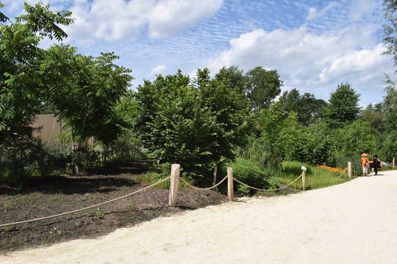 agroforestry floriade