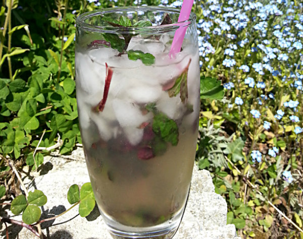 mojito