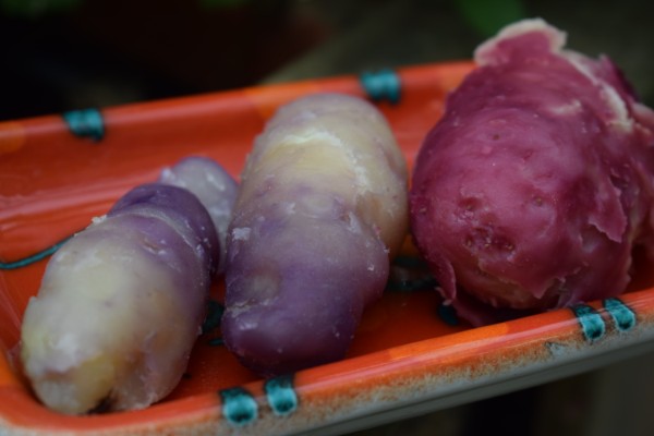 kleurrijke aardappelen