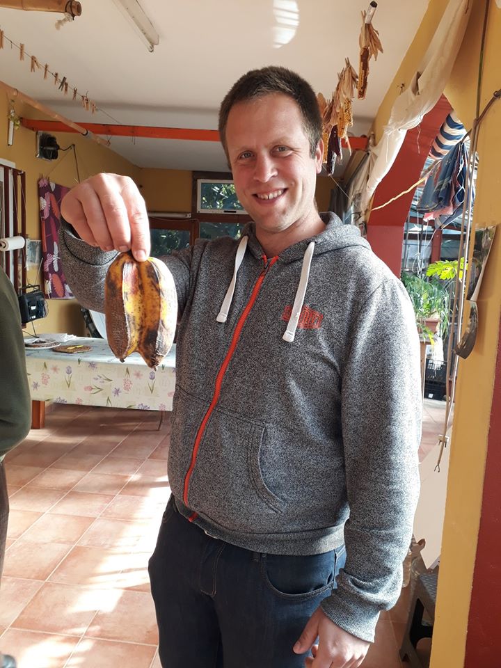 duo banaan