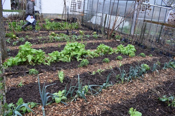 moestuinbedden zonder rand