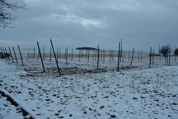 sneeuwtapijt in eetbaar park in wording