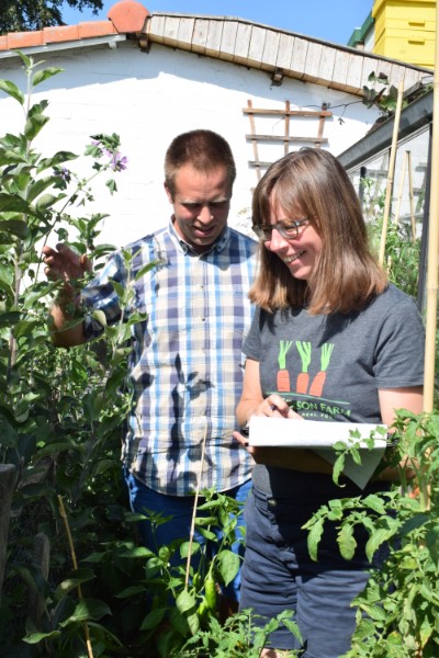 vera greutink tuin op tafel