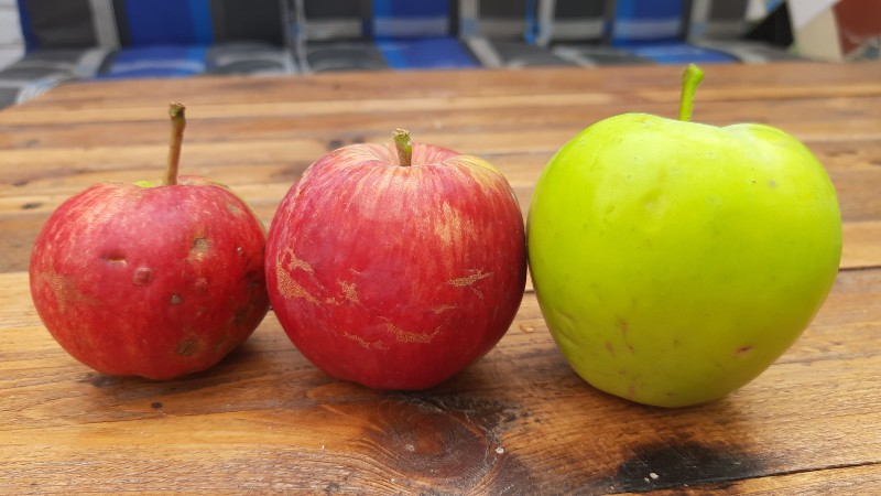 appel July Red en Nico
