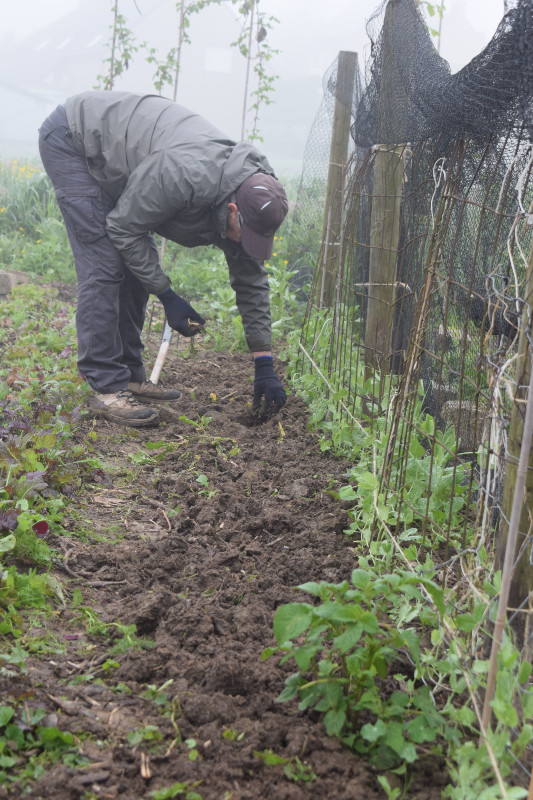 ecohovenier Andre in actie
