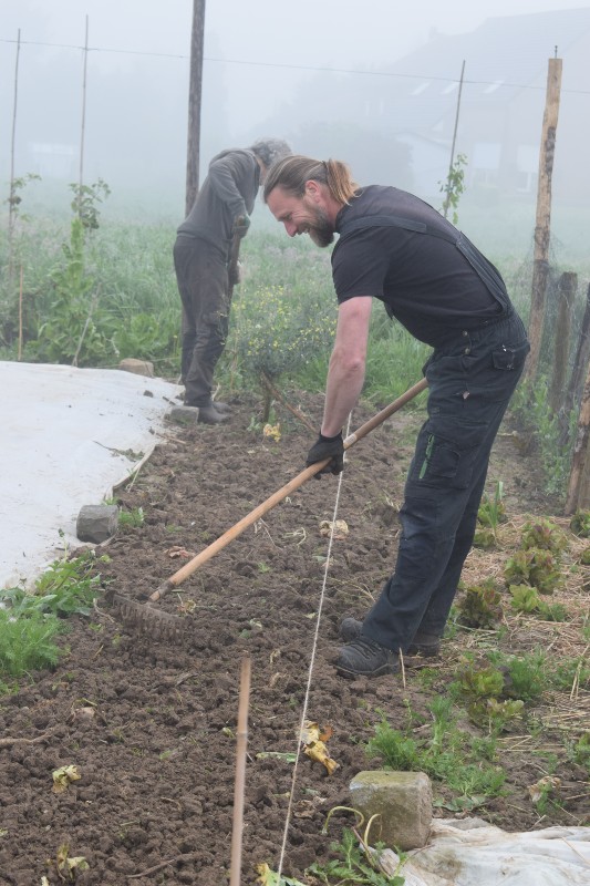 ecohoveniers Kristof en Marc in actie