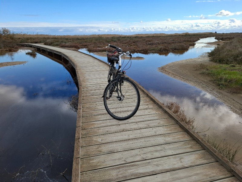 fiets delta de l ebre