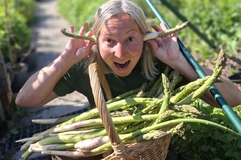 asperges uit de oren