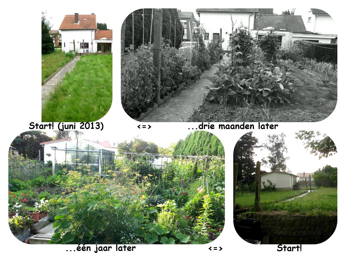 tuin voor en na