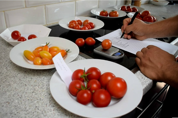 gegevens tomaten